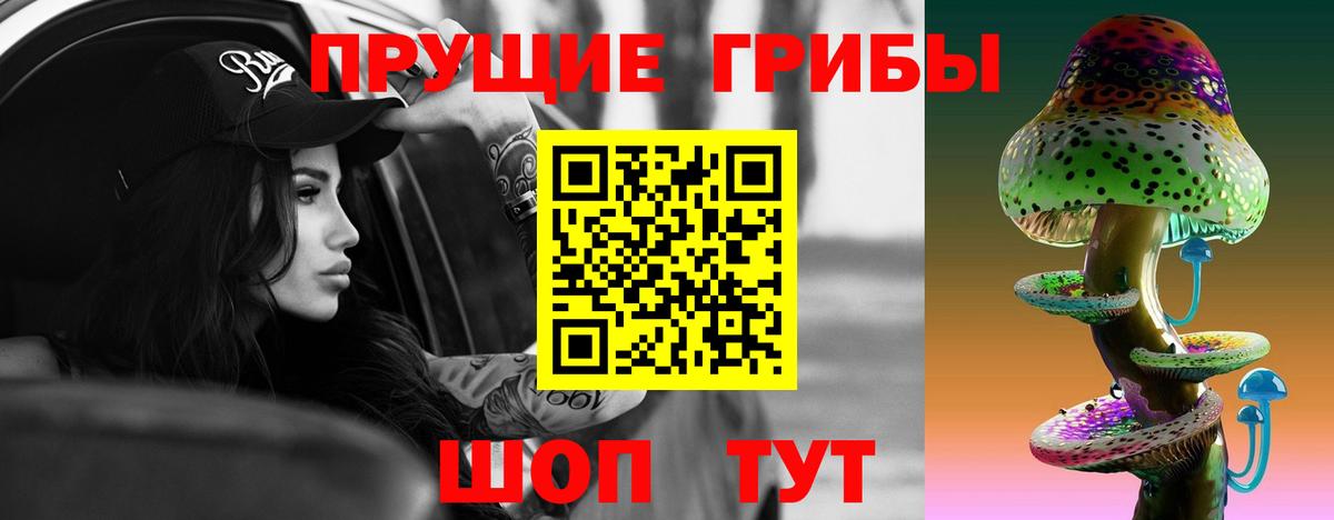 Когалым  Галлюциногенные грибы Psilocybe  Вход с VPN 
